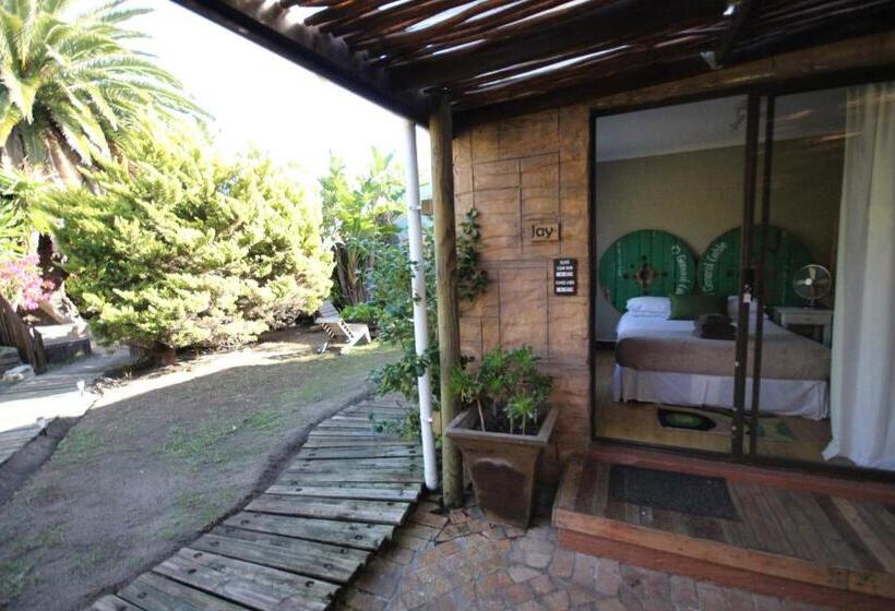 Отель Saltycrax Backpackers And Surf Hostel By Curiocity