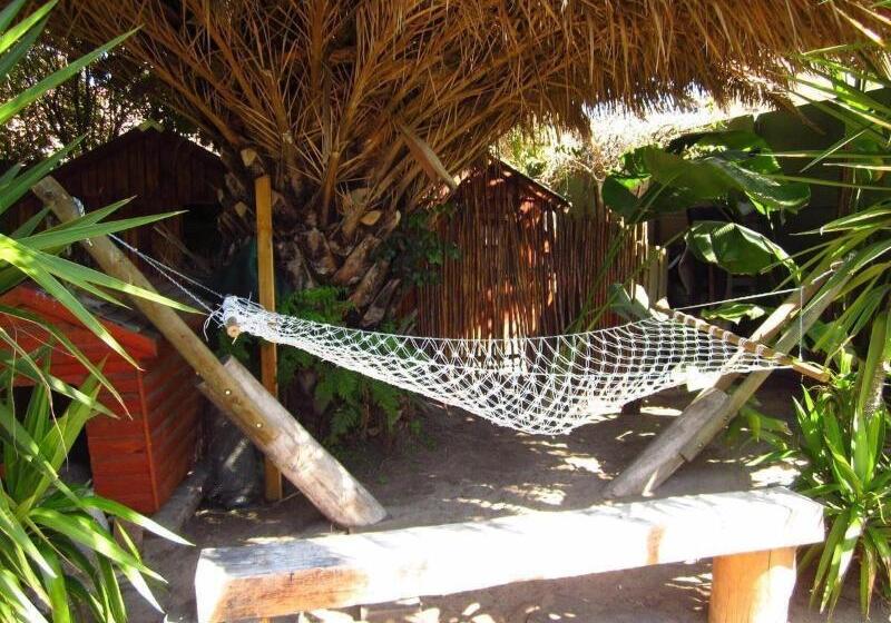 Отель Saltycrax Backpackers And Surf Hostel By Curiocity