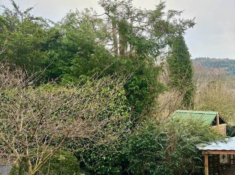 בית מלון כפרי Summerhill Guest House