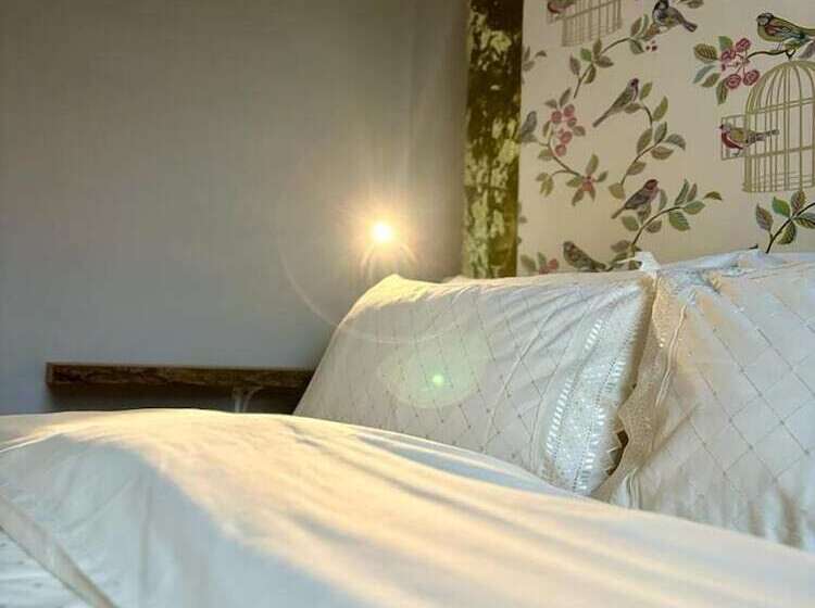 בית מלון כפרי Summerhill Guest House