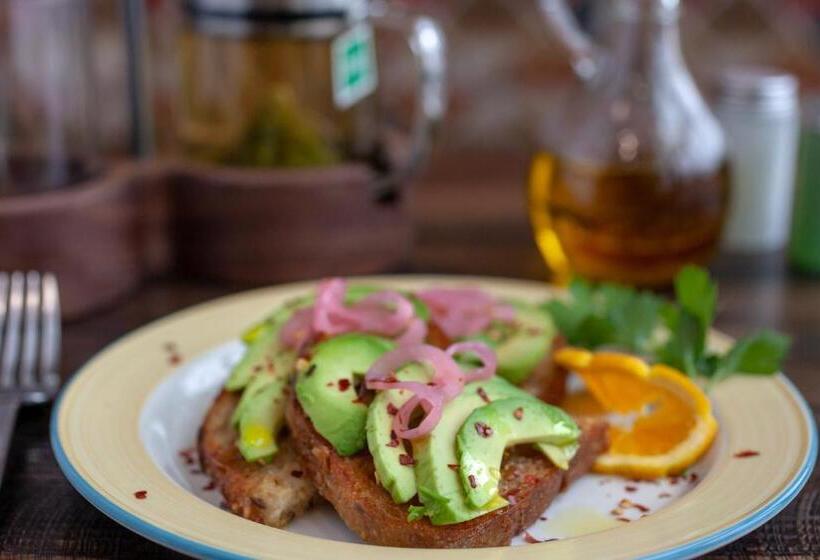 فندق The Glen House