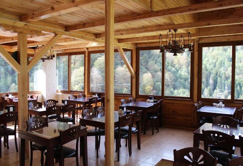 فندق Ayder Resort