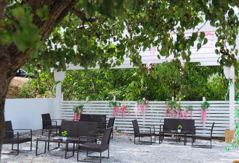 בית מלון כפרי B&b Il Cavaliere Tropea