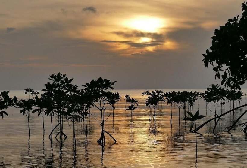 酒店 Capital O 729 Amantra Lake View Resort