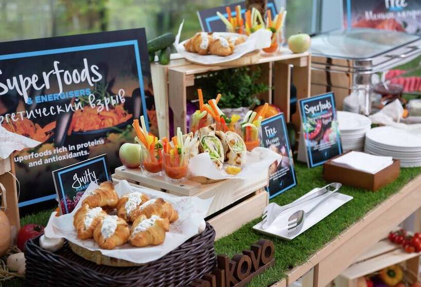 호텔 Doubletree By Hilton Moscow Vnukovo Airport