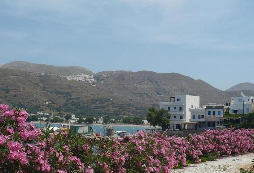 Отель Filoxenia