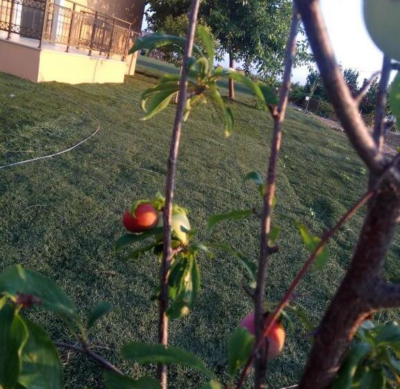 בית מלון כפרי Finiki Plaza