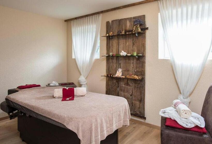 ホテル Salzano Basic Rooms Interlaken