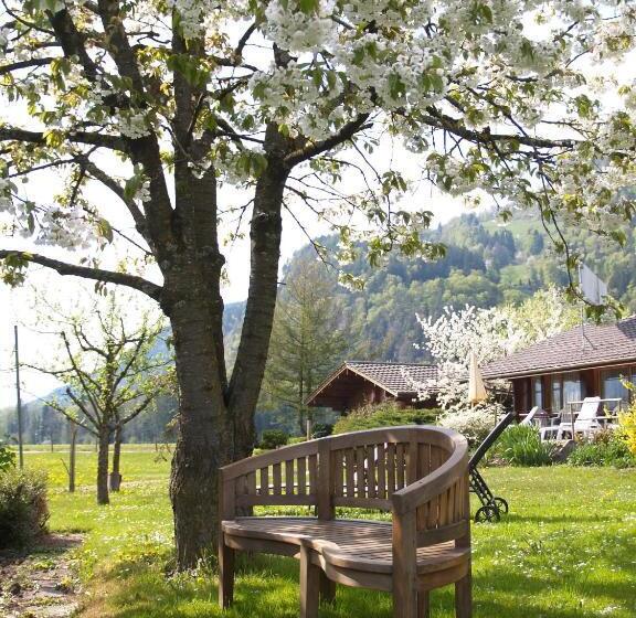 ホテル Salzano Basic Rooms Interlaken