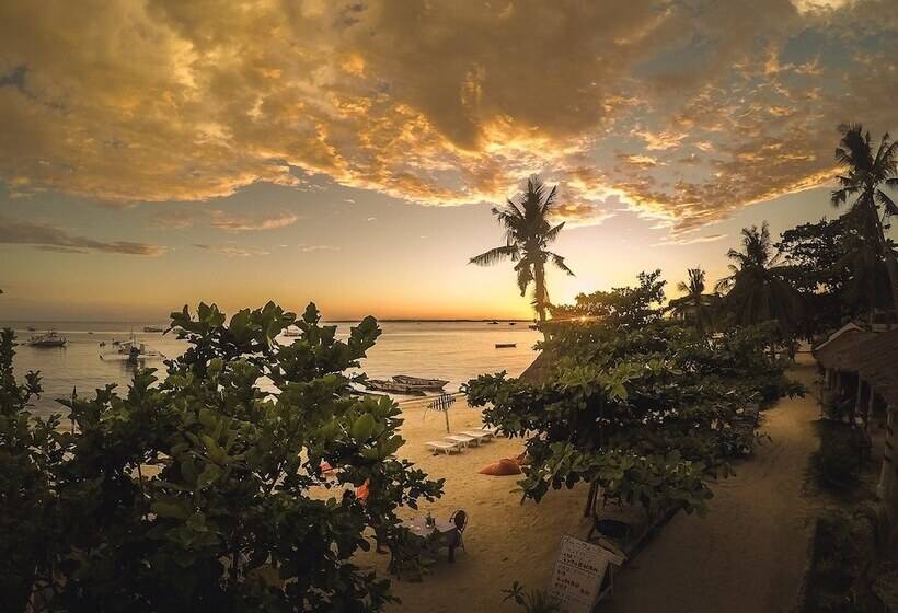 Malapascua Beach And Dive Resort