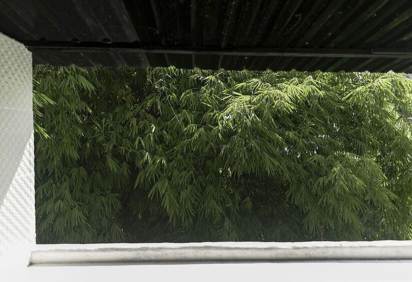 פנסיון The Paica