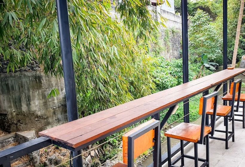 פנסיון The Paica