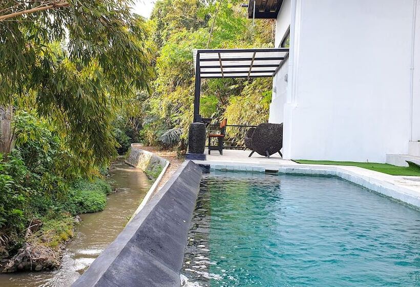 פנסיון The Paica