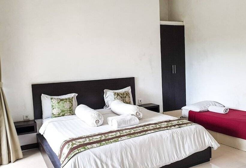 פנסיון The Paica