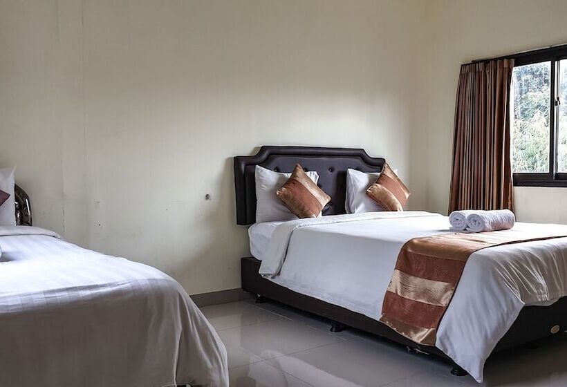 פנסיון The Paica