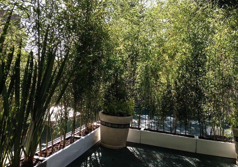 Pug Seal Boutique B&b