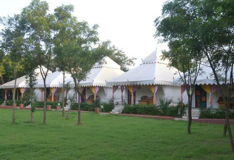 Achrol Bagh