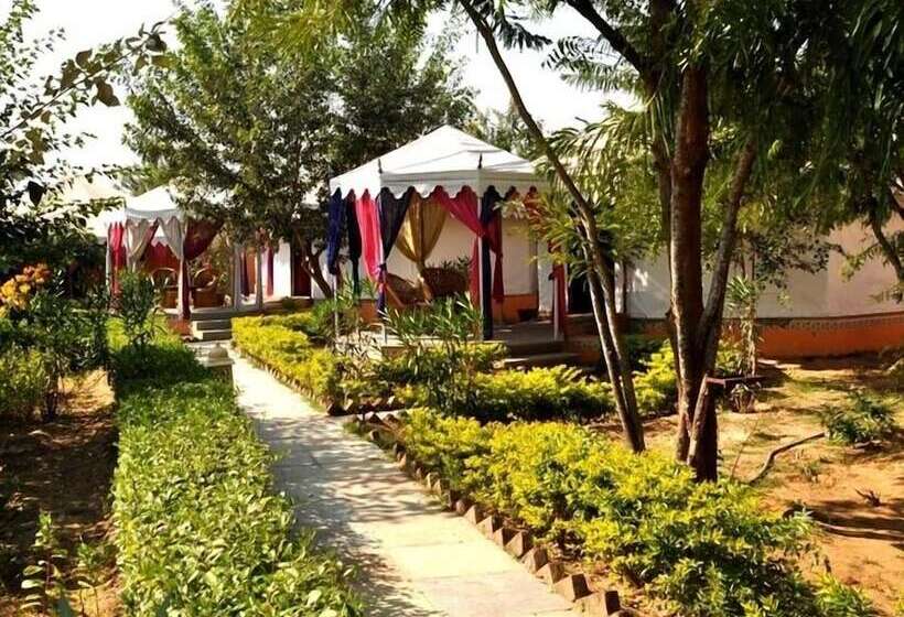 Achrol Bagh