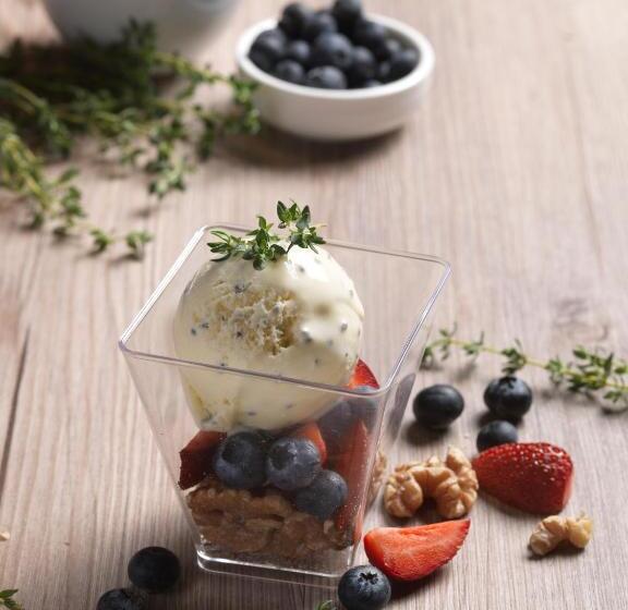 Aerotel Muscat  Airport Transit