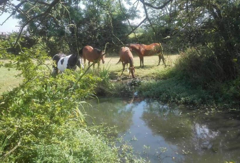 مبيت وإفطار Brampton Dales Farm