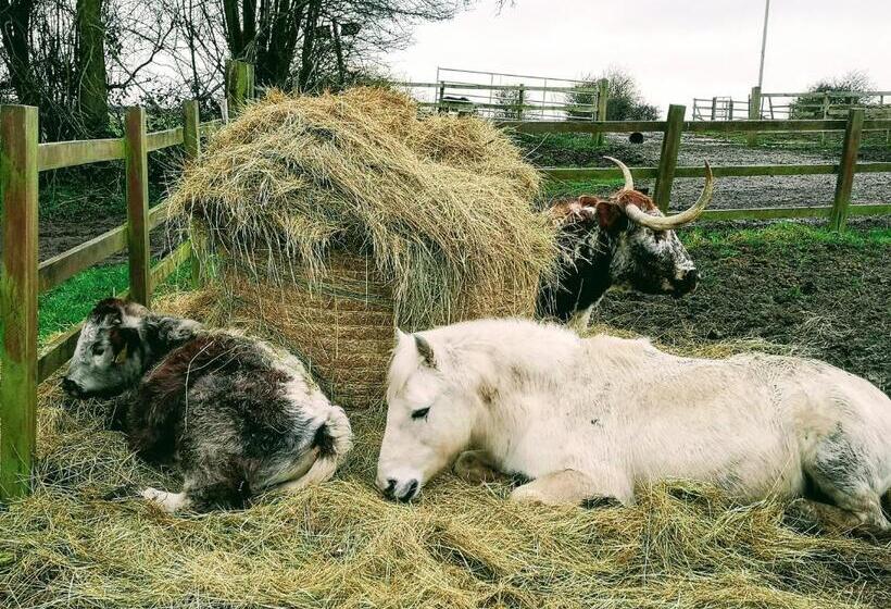 مبيت وإفطار Brampton Dales Farm