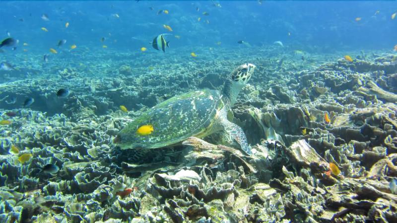 צימר Pranajaya Loka