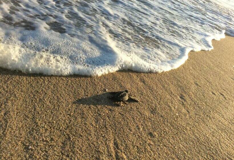 Condominio Agave Del Mar