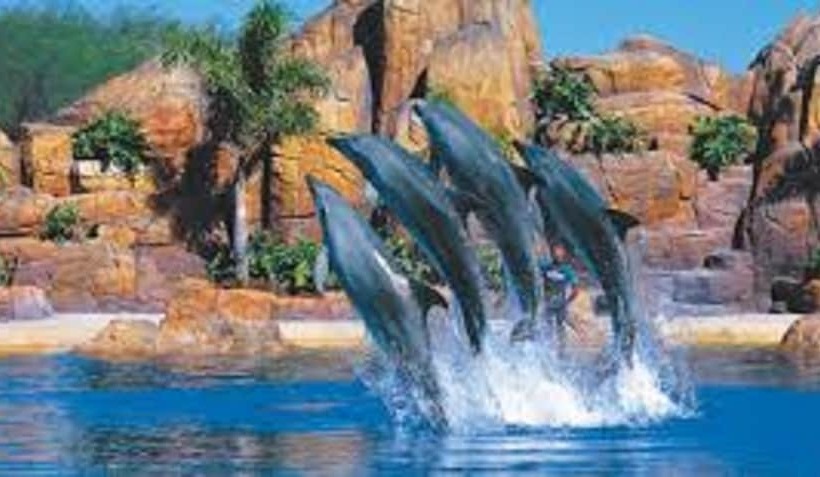 Gold Coast Theme Park Villa