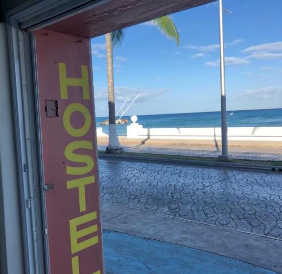 Hostel Tropico 20º Oceanfront