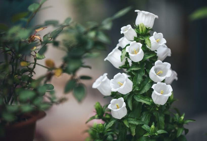 Отель Ancient Street No.5 Youth Chic