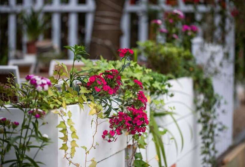 Отель Ancient Street No.5 Youth Chic