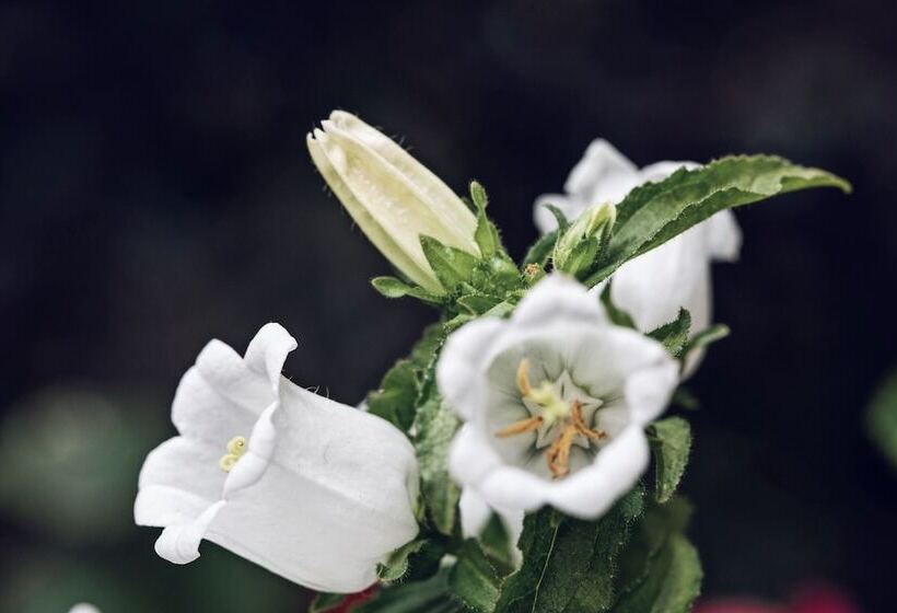 Отель Ancient Street No.5 Youth Chic