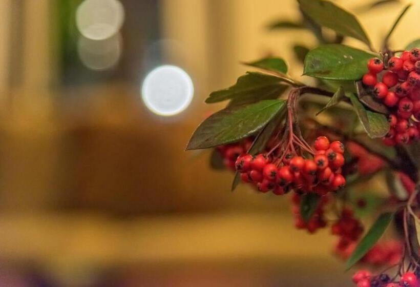 בית מלון כפרי Arxontiko Krana