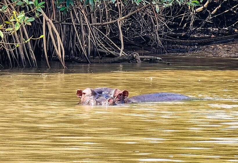 هتل Balafon Beach Resort