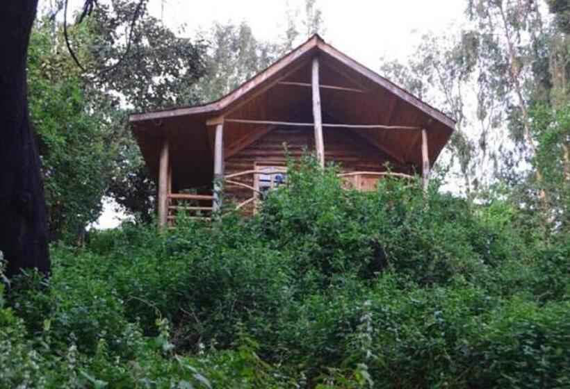 هتل Lake Bunyonyi Eco Resort
