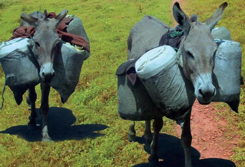 هتل Lake Bunyonyi Eco Resort