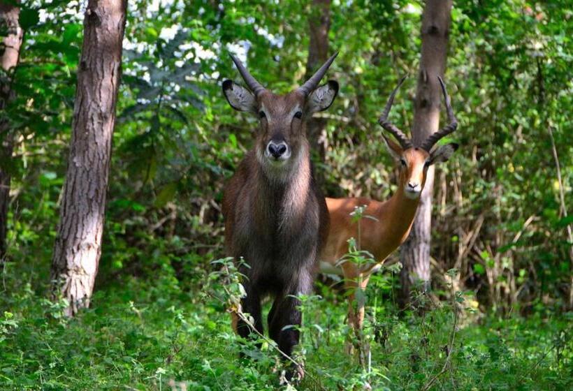 هتل Lake Bunyonyi Eco Resort