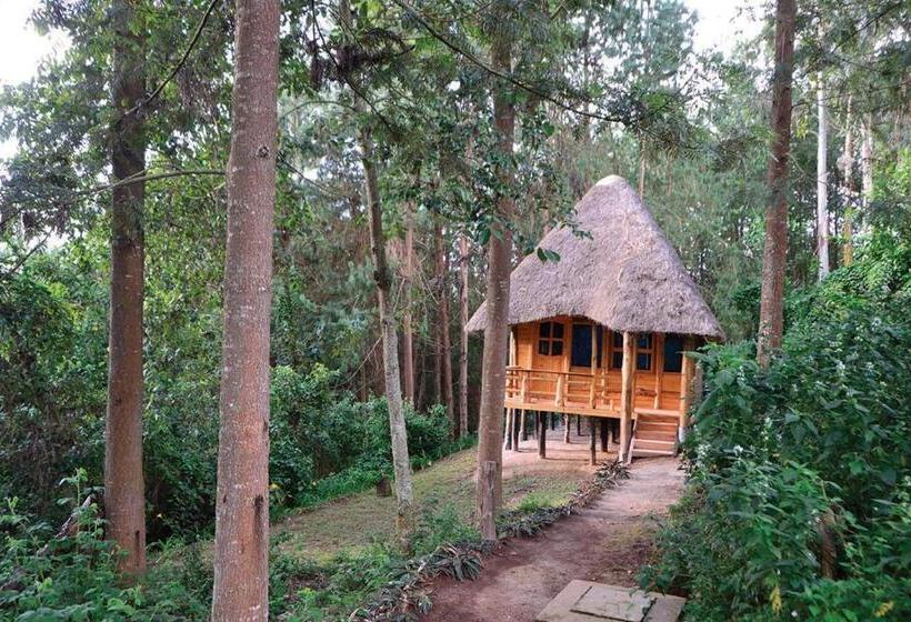 هتل Lake Bunyonyi Eco Resort