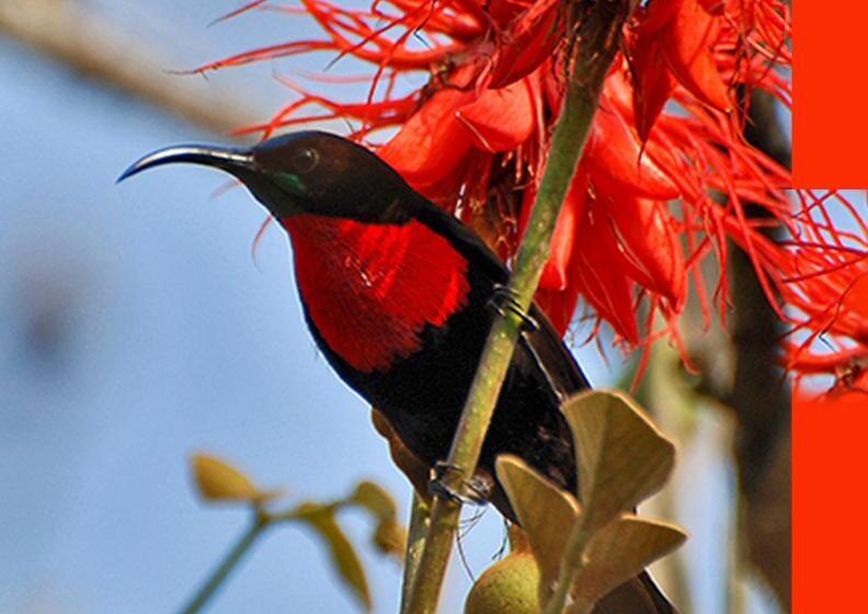 هتل Lake Bunyonyi Eco Resort