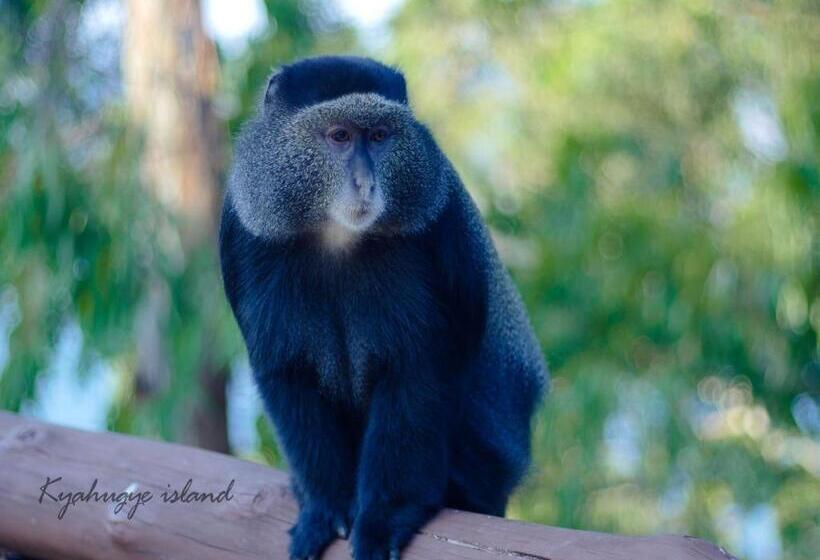 هتل Lake Bunyonyi Eco Resort