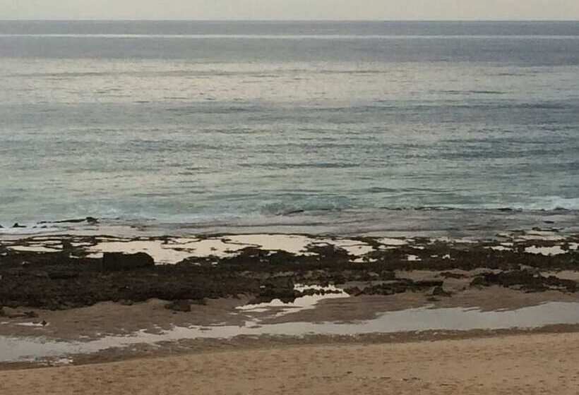 ホテル Mango Beach