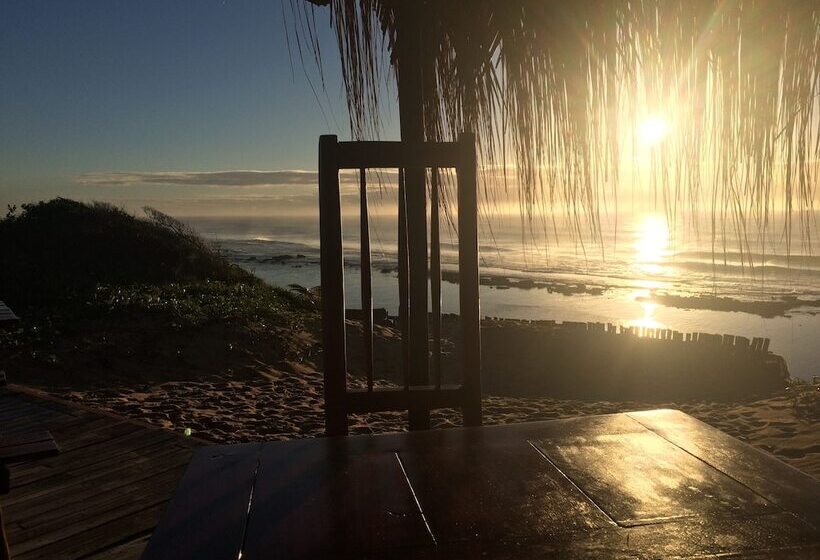 ホテル Mango Beach