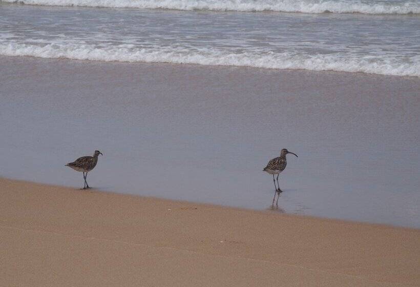 ホテル Mango Beach