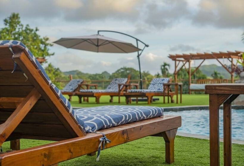 هتل Palau Central