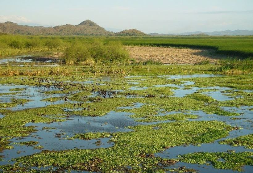 فندق Palo Verde Biological Station