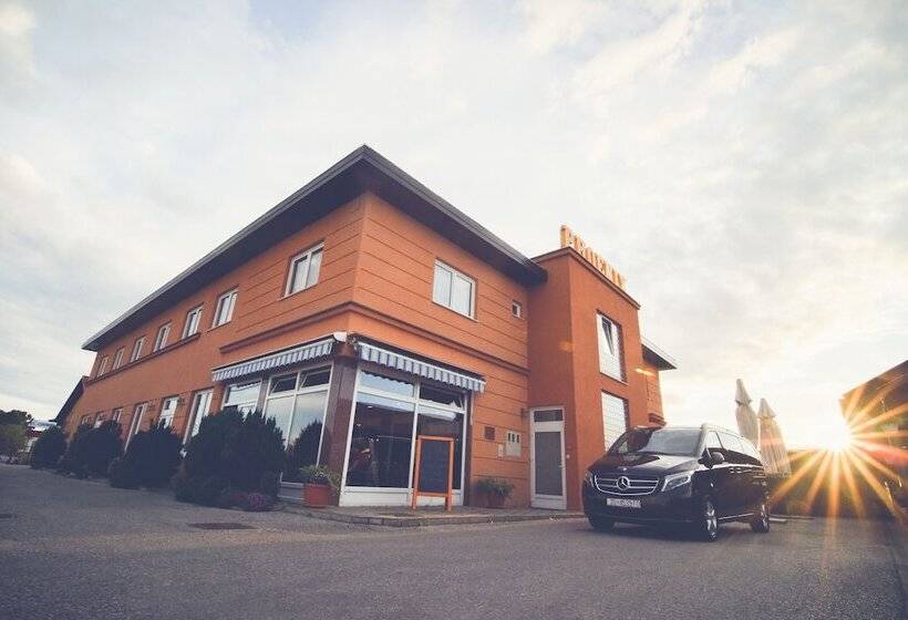 בית מלון כפרי Phoenix