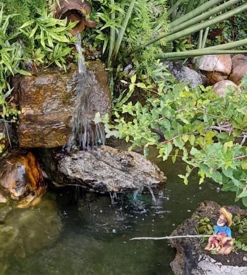 فندق Pousada Dos Cajueiros