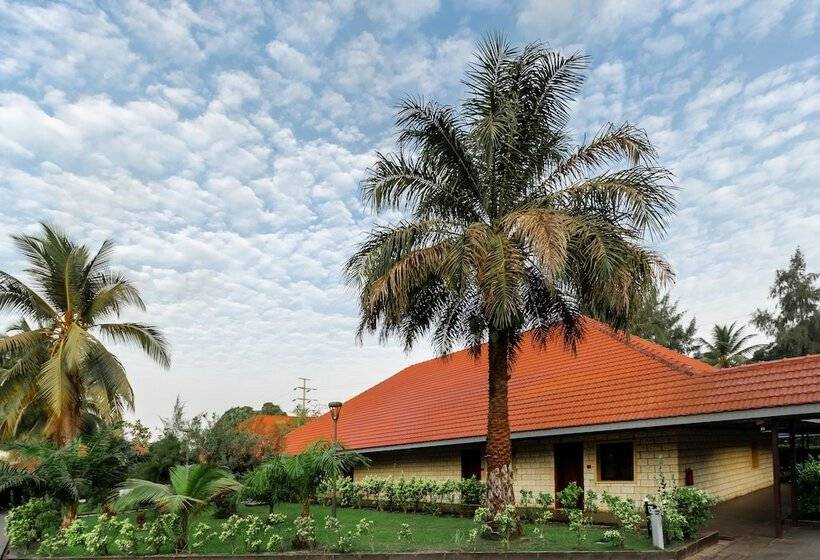 هتل Riviera Royal