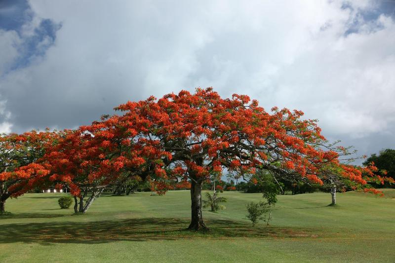 هتل Saipan Vegas Resort