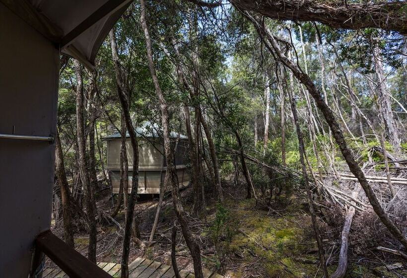 בית מלון כפרי Southwest Wilderness Camp   Tasmania
